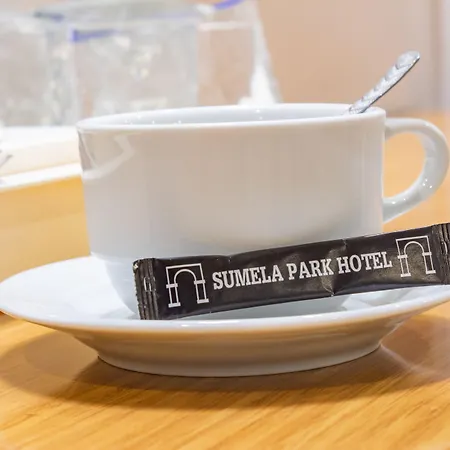 ホテル Sumela Park 3*